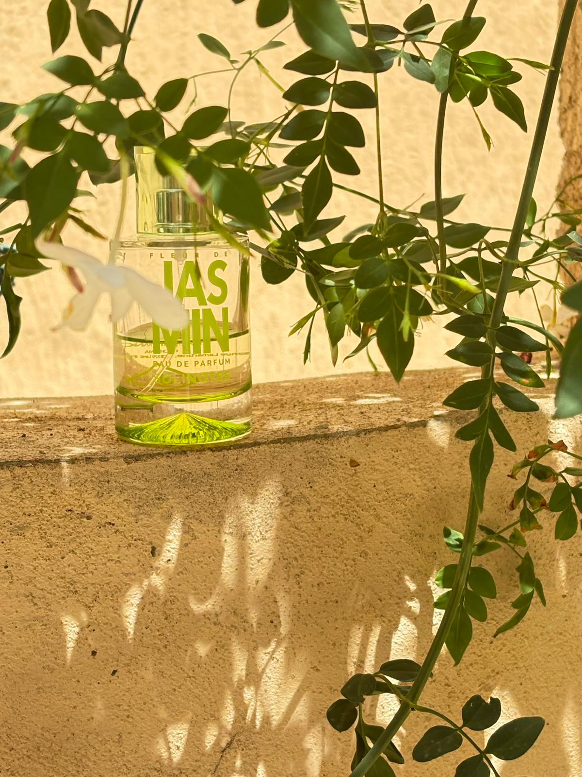 White Jasmine