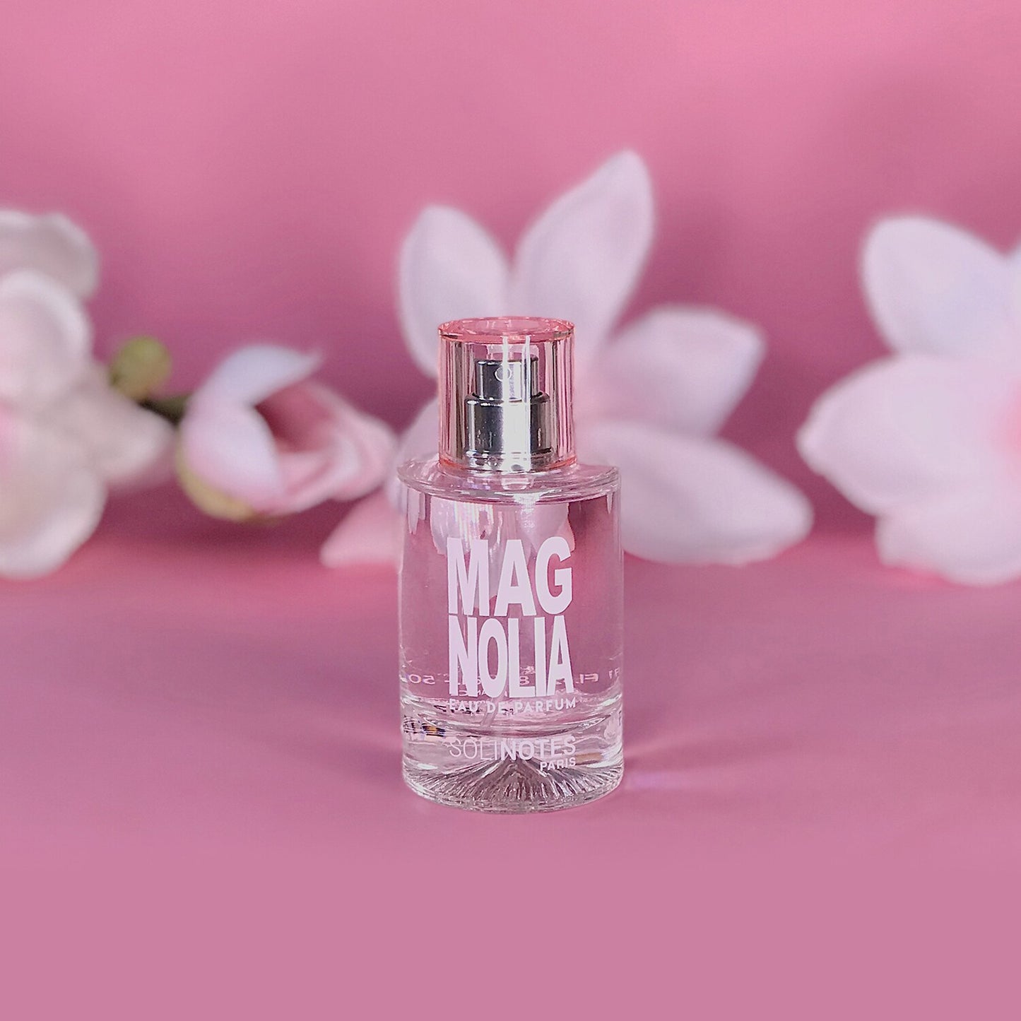 Magnolia Bloom